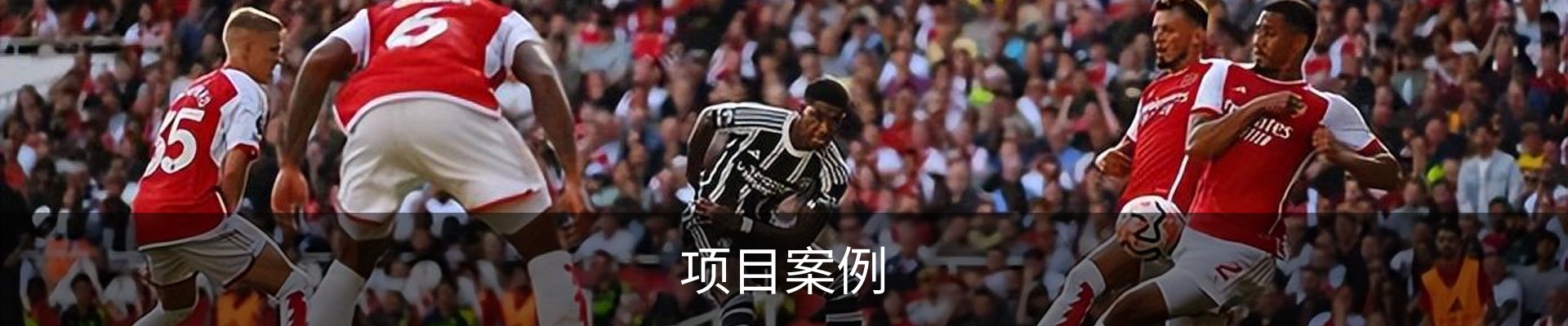 项目案例